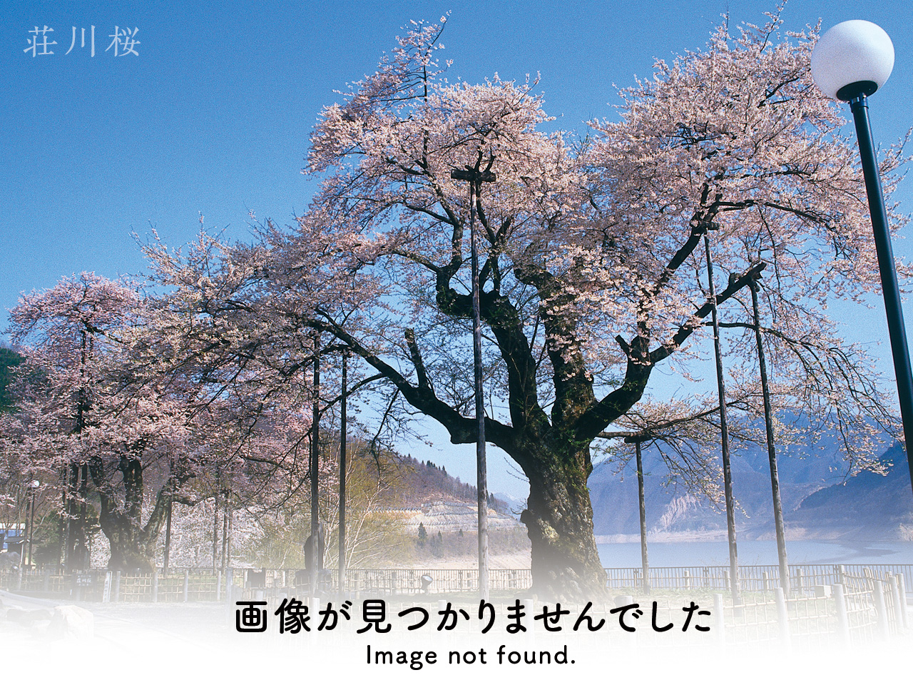 庄川の現在の様子