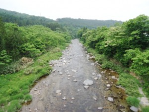 karyuu