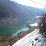 荘川桜上流